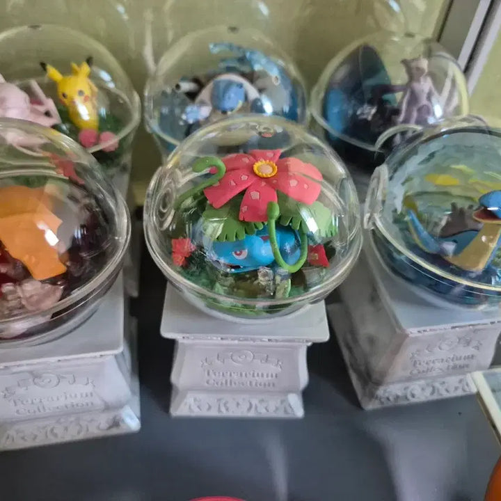 [BUNJANG] Pokemon Terrarium Collection Vol. 15 Full Set / 포켓몬 테라리움 컬렉션 15탄 풀셋