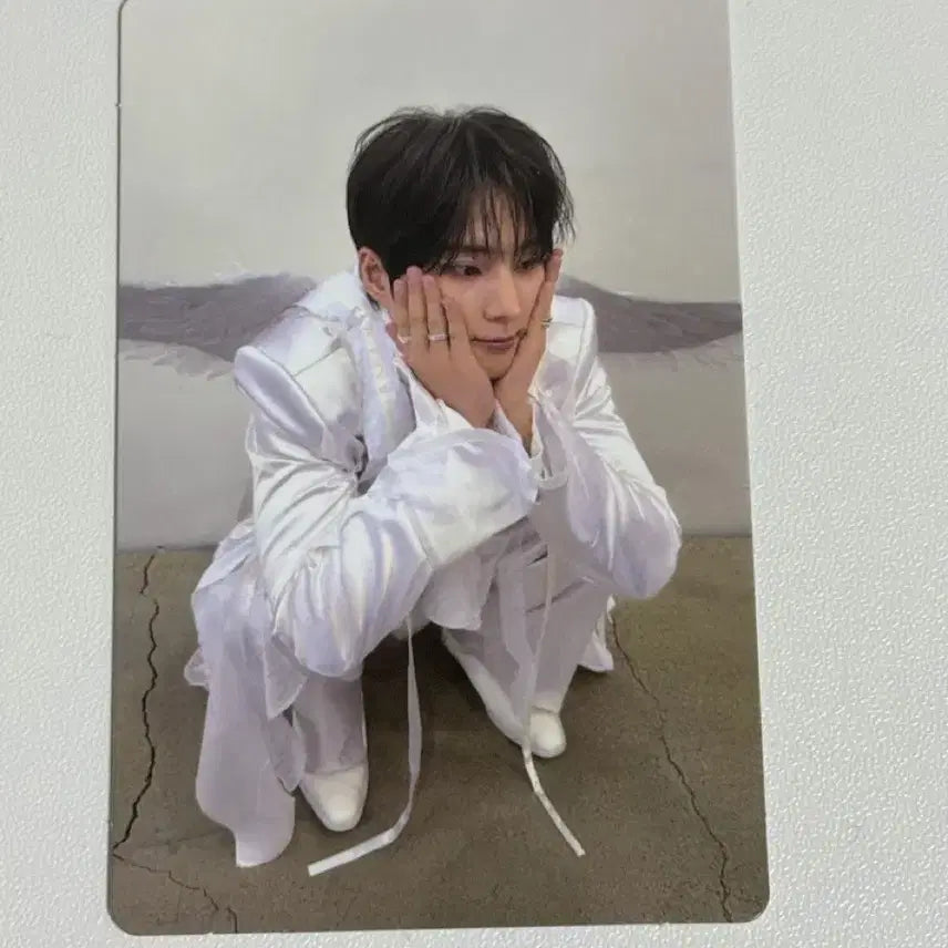 [BUNJANG] DAY6 Young K Youngest Wallet Photocard Angel Ppuri / 데이식스 영케이 영기스트 월렛 포카 천사쭈구리