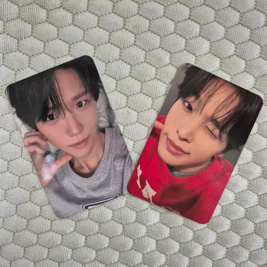 [BUNJANG] Yoidon Jaehee Riku Bundle Set Photocard / 요이돈 재희 리쿠 일괄 판매합니다