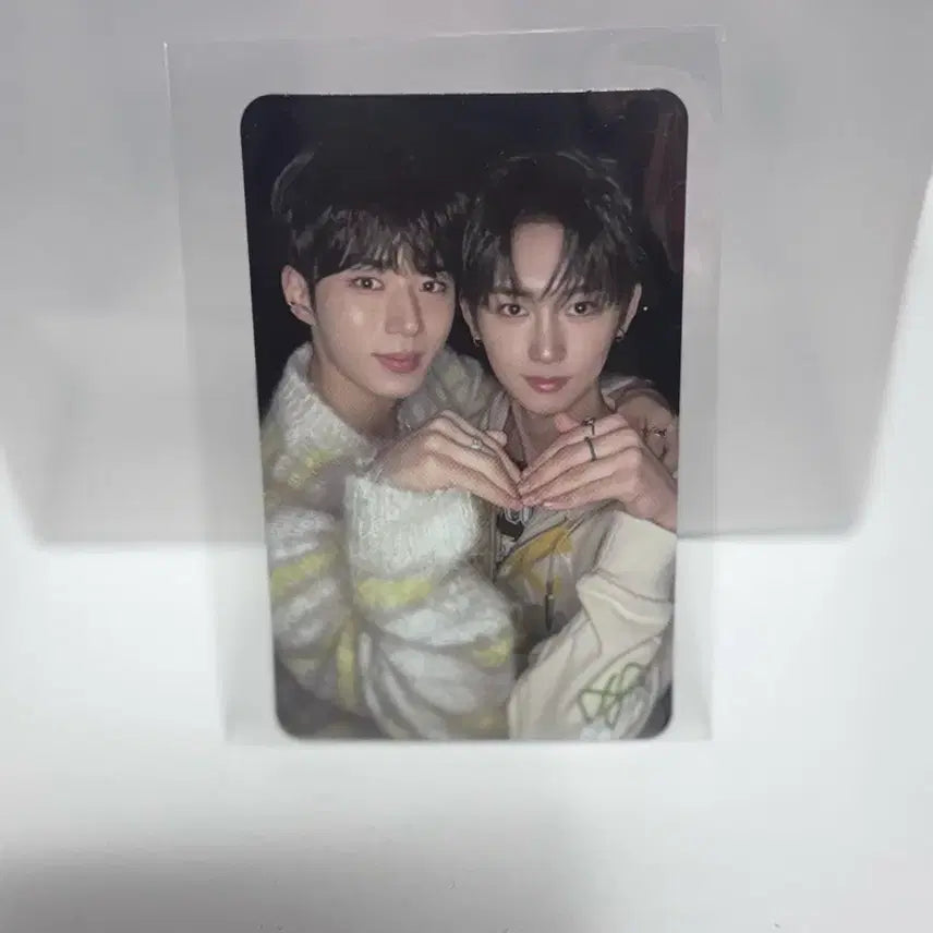 [BUNJANG] ALPHADRIVEONE Euphoria Junseo Jo Woongshin Photocard / 알디원 유포리아 준서 조우안신 포카