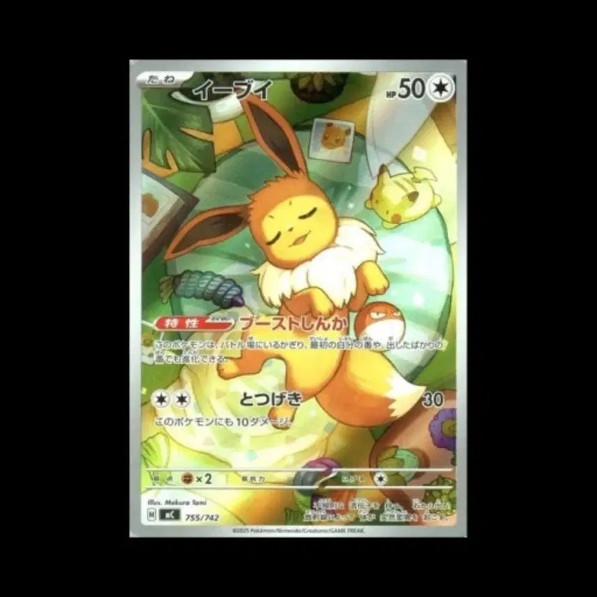 [BUNJANG] Pokemon TCG Eevee Deck (Japanese) / 포켓몬스터 100덱 이브이덱 일판