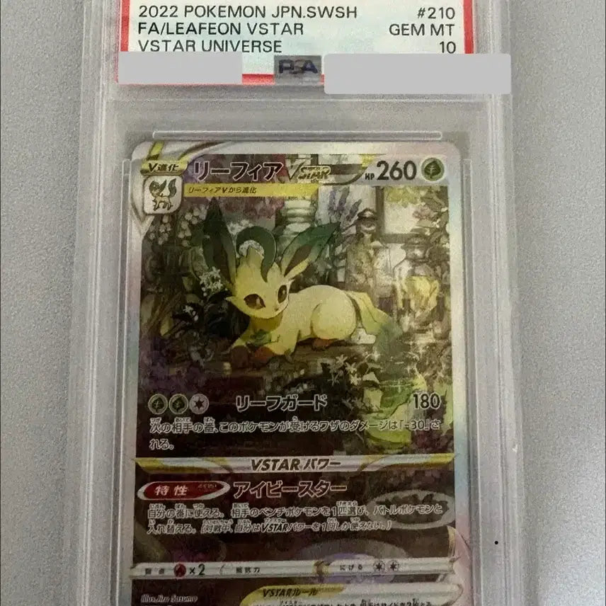 [BUNJANG] Pokemon Card Leafeon VSTAR SAR 210/172 / 일판 2022 포켓몬카드 리피아 VSTAR SAR 210/172