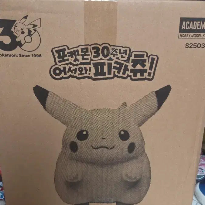 [BUNJANG] Pokemon 30th Anniversary Chubby Pikachu Doll / 30주년 피카츄 뚱까츄 인형