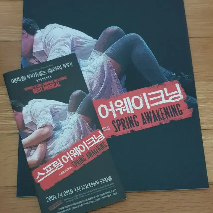 [BUNJANG] Spring Awakening 2009 Musical Program Book - Featuring Kim Mu-yeol, Joo Won, Jo Jung-suk, Kang Ha-neul / 뮤지컬 스프링 어웨이크닝 2009년 초연 프로그램북 김무열 주원 조정석 김지현 강하늘