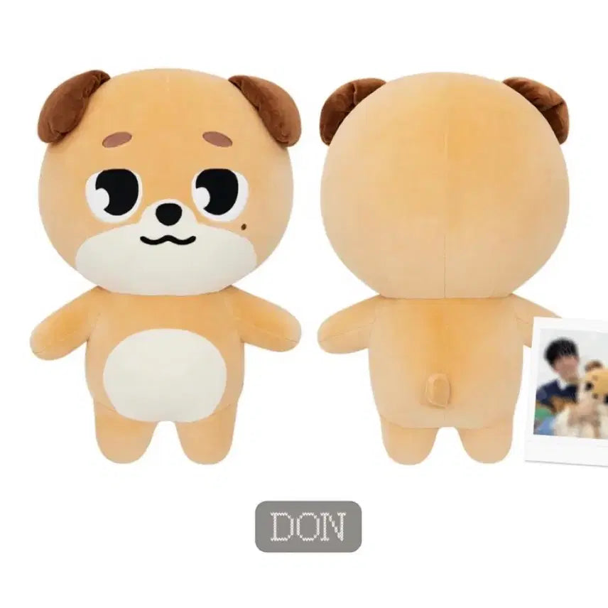 [BUNJANG] Day6 Giant Denimals Don Polaroids Photocard Set Bundle / 데이식스 자이언트 데니멀즈 돈 케치와레