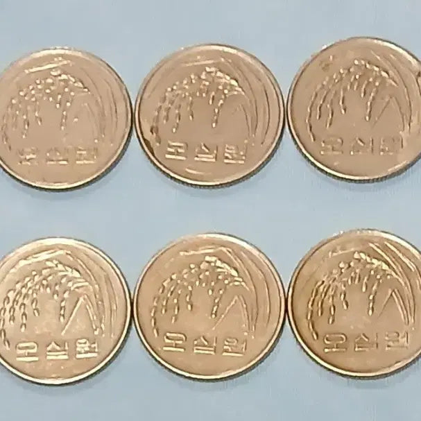 [BUNJANG] 1991 50 Won Coin Bundle (10 pcs) / 1991년 50원 동전 10개 일괄
