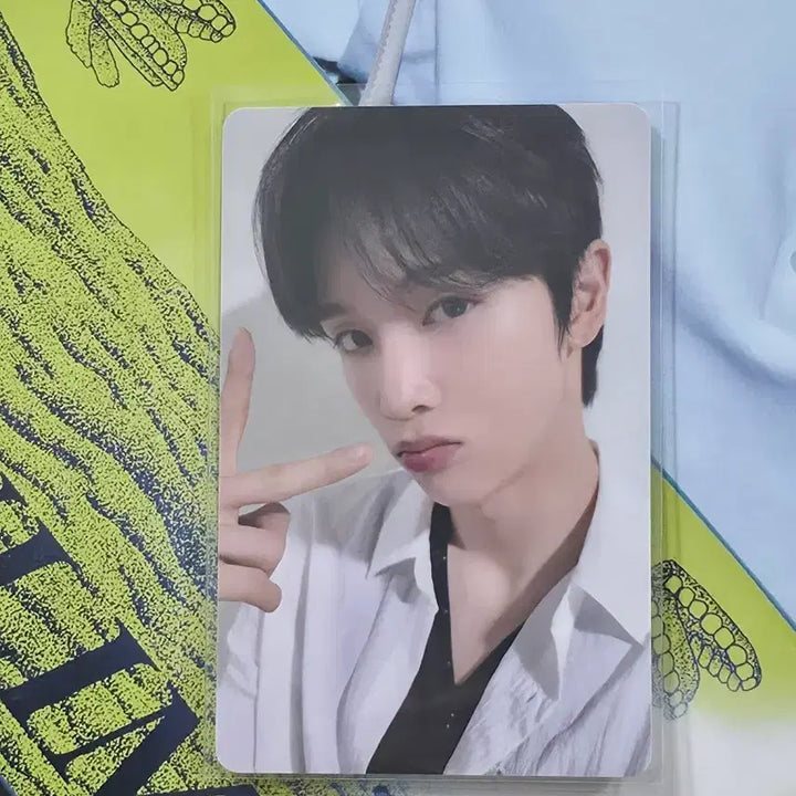 [BUNJANG] Woorakbam Seongchan Doll Photocard Bundle Set / 우락밤 성찬 인형 굿즈 양도합니다