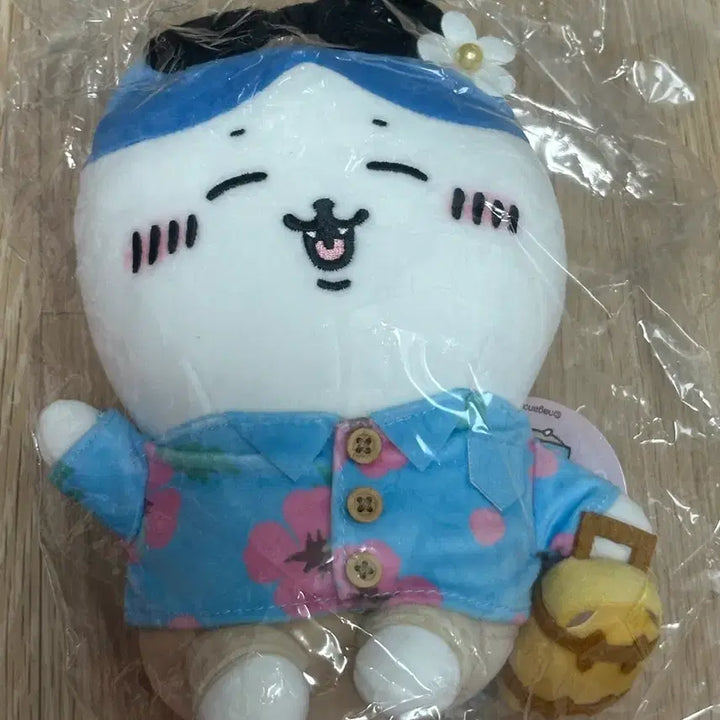 [BUNJANG] Chiikawa Hachitorei Travel Plush (Reprint Version) - Sealed, Authentic with Tags / 치이카와 하치와레 여행 누이 재판 버전 미개봉 정품 택O