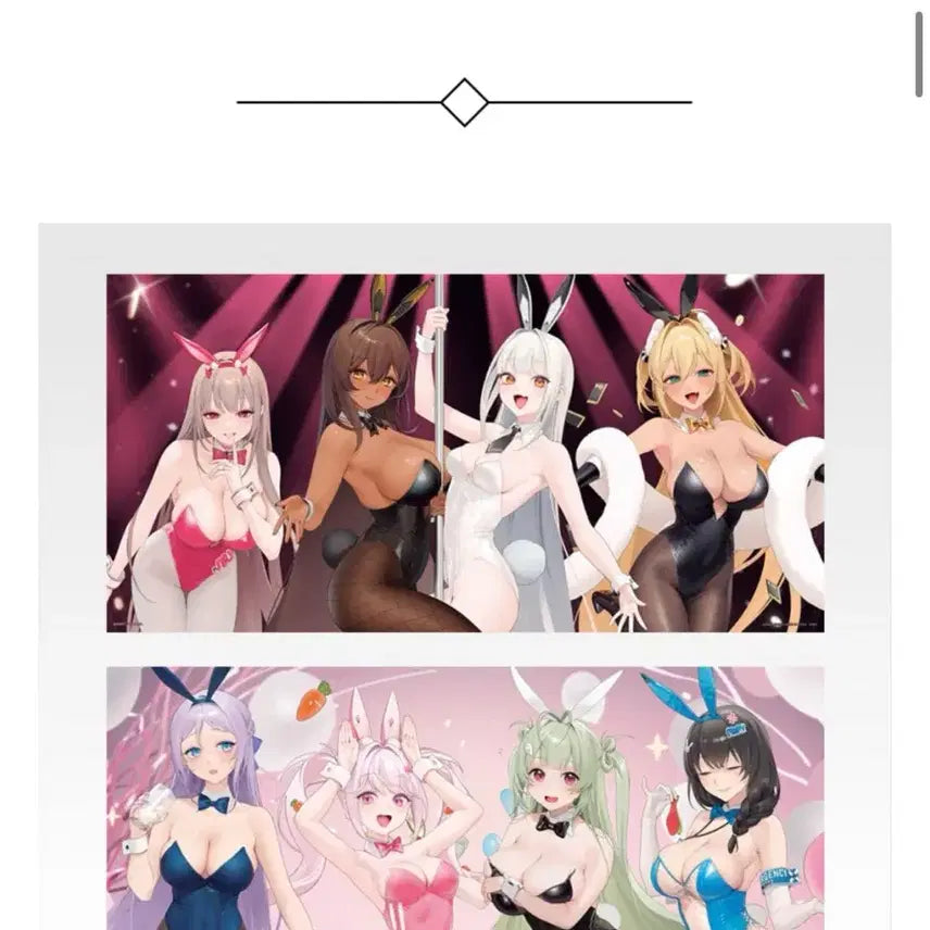 [BUNJANG] Niche Bunny Girl Chapter 5 C Prize Display Banner / 니케 쿠지 챕터5 c상