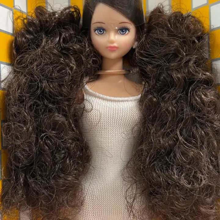 [BUNJANG] Lica Castle Sion Doll / 리카캐슬 시온