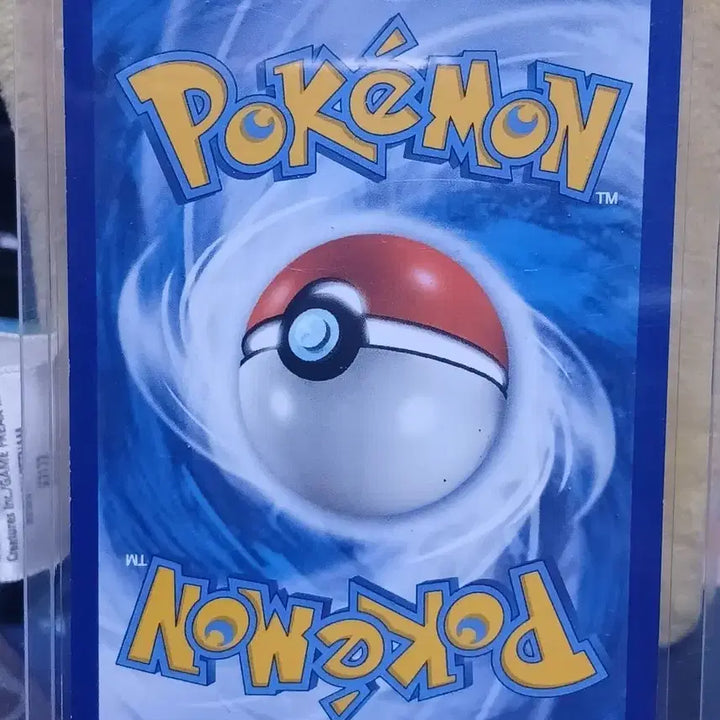 [BUNJANG] Pokemon Pikachu 35/108 North American XY Evolutions Card / 포켓몬 카드 피카츄 35/108 북미 XY 에볼루션 3
