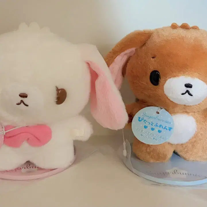 [BUNJANG] Sugarbunnies Pitatto Friends Bundle Set / 슈가버니즈 일괄 피닷토