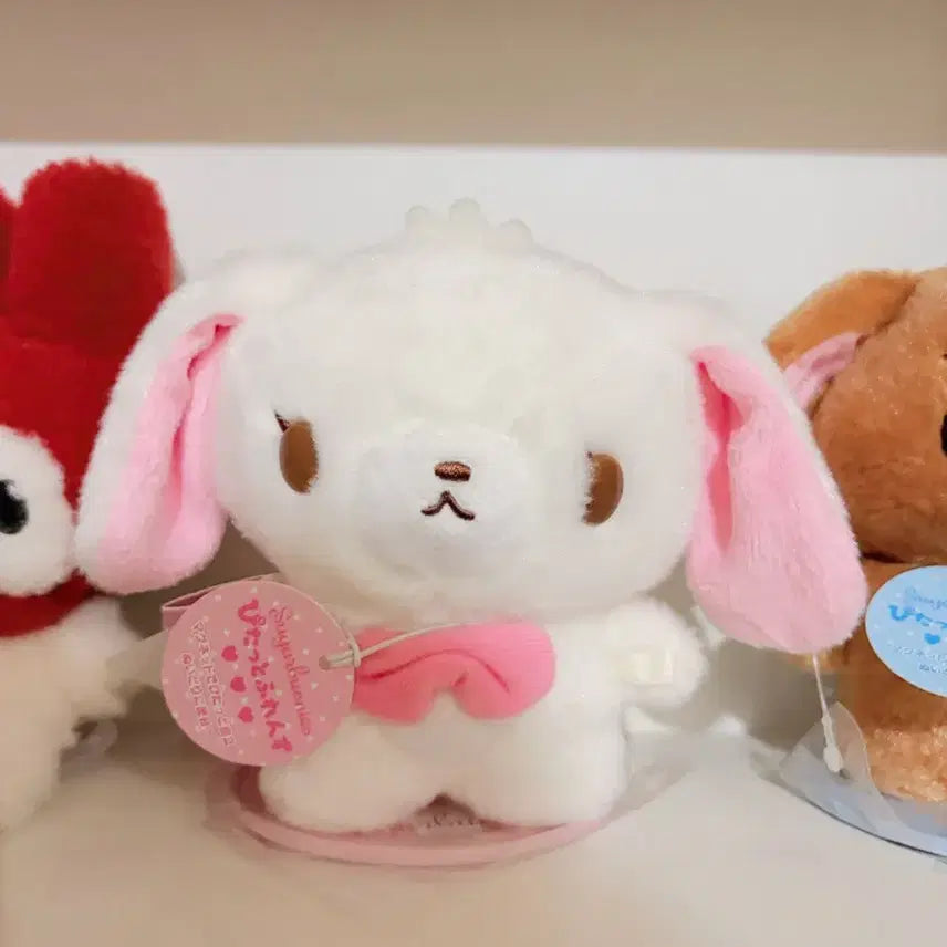 [BUNJANG] Sugarbunnies Pitatto Friends Bundle Set / 슈가버니즈 일괄