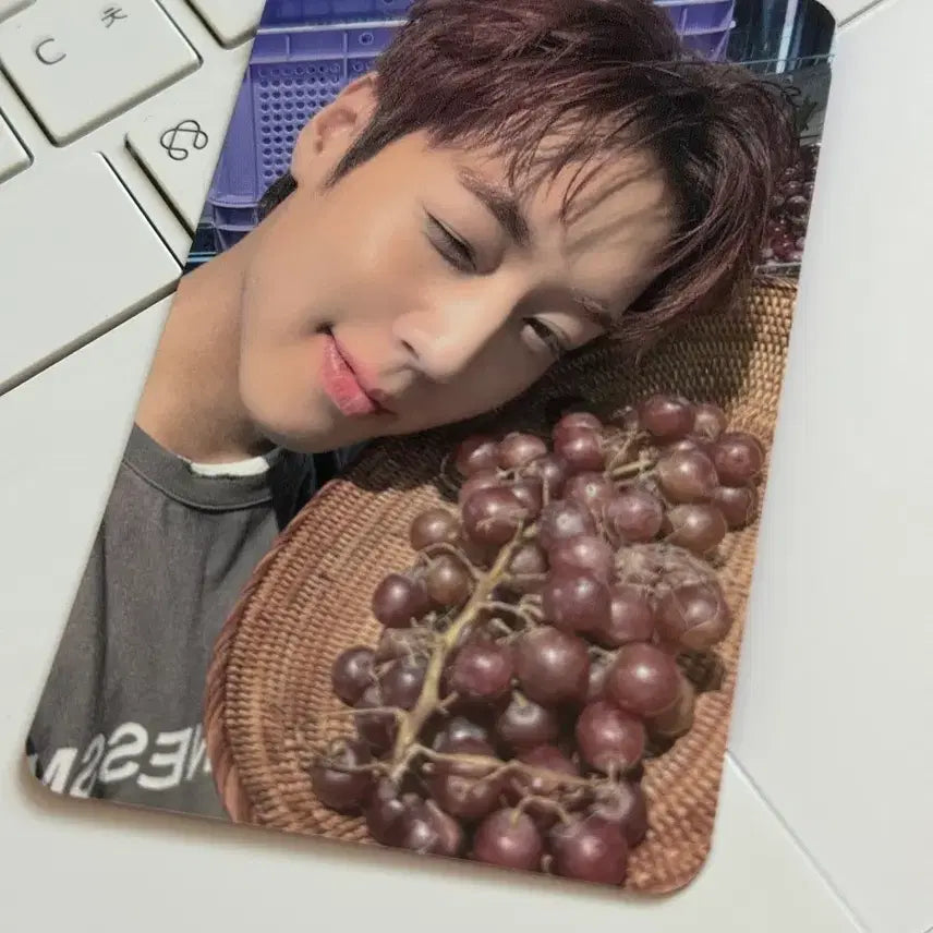 [BUNJANG] Park Jihoon The Venti Photocard / 박지훈 더벤티 포카