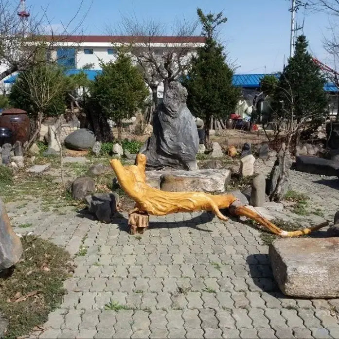 [BUNJANG] Natural Stone and Zelkova Root Art Installation / 자연석 및 느티나무뿌리