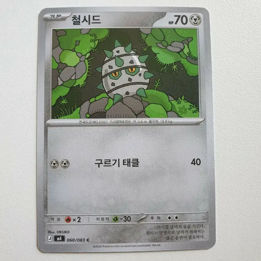 [BUNJANG] Iron Seed Pokémon Card / 철시드 포켓몬카드