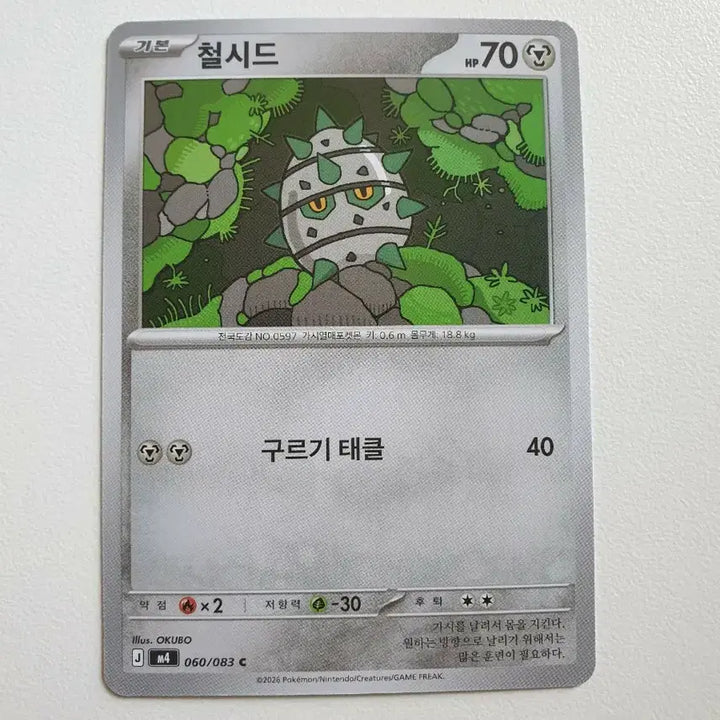 [BUNJANG] Iron Seed Pokémon Card / 철시드 포켓몬카드