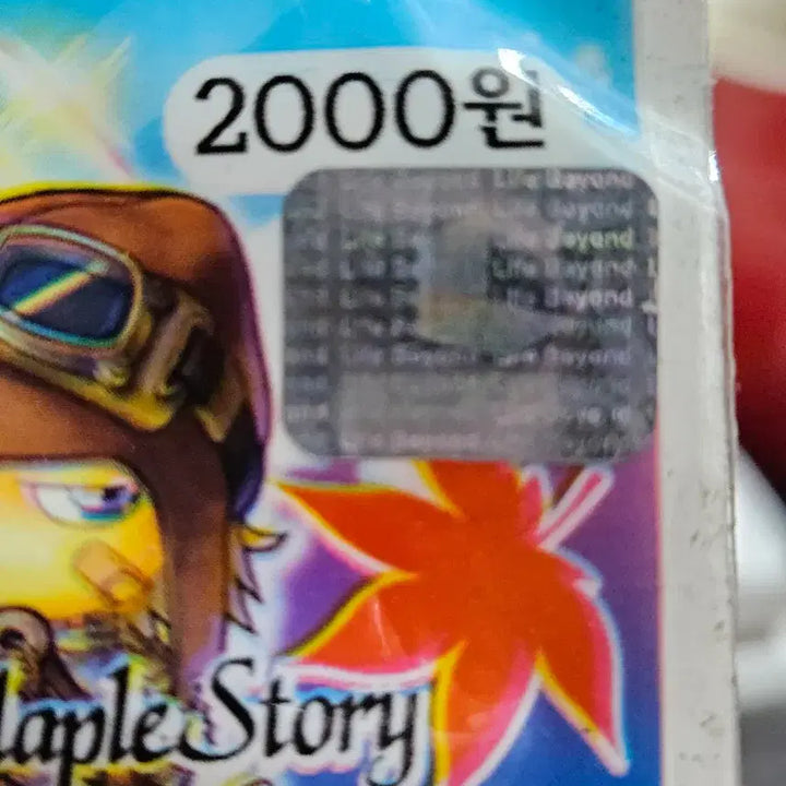 [BUNJANG] MapleStory 2004 Winter Mask / 22년된 메이플스토리 방한건강마스크 2004년 생산 