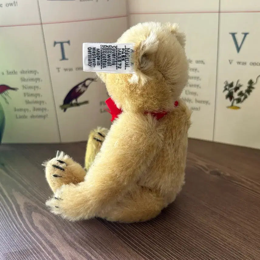 [BUNJANG] Steiff Vintage Teddy Bear / 독일 빈티지 steiff  테디베어