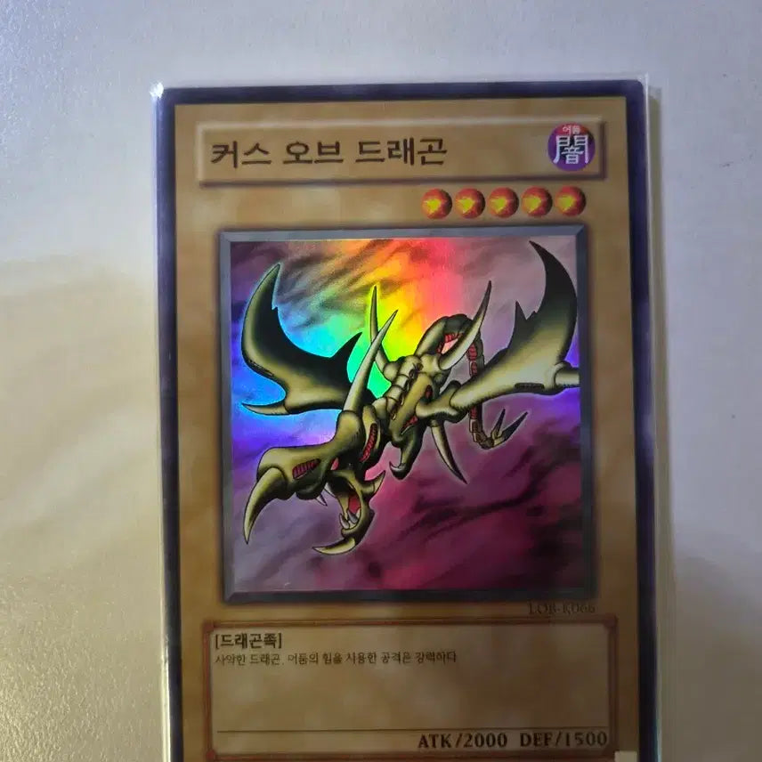 [BUNJANG] Cust of Dragon LOB Card / 커스 오브 드래곤 LOB