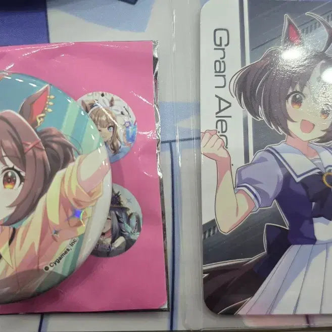 [BUNJANG] Gran Allegria Collaboration Can Badge + 3rd &amp; 4th Anniversary Photocard Set / 그란알레그리아 캔뱃지+3,4주특전포카6000원에 일괄양도합니다