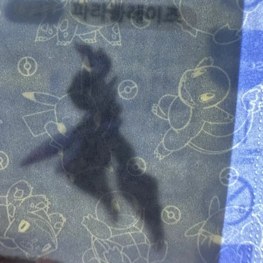 [BUNJANG] Pokemon 30th Anniversary Parablaze Sticker / [미개봉 새상품] 포켓몬 30주년 띠부씰 스티커 파라블레이즈
