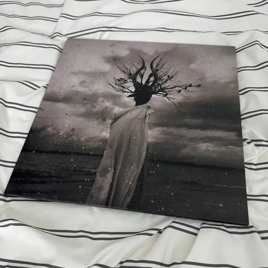 [BUNJANG] Thornapple 3rd Album Enlightenment LP (Opened) / 쏜애플 3집 LP 개봉반 2021 덴마크