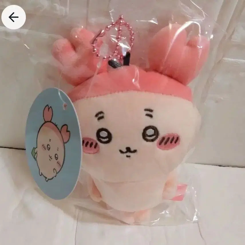 [BUNJANG] Chiikawa Basic Mascot / 카니 헌책방 기본 마스코트 치이카와