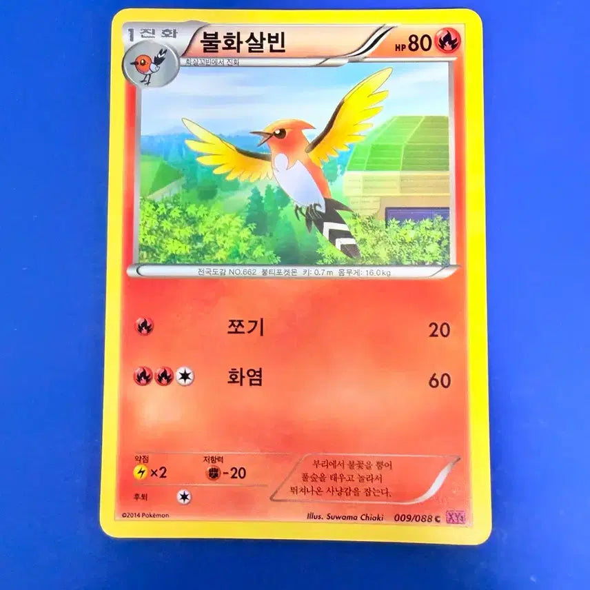 [BUNJANG] Pokemon Card Ancient Card XY Voltorb / 포켓몬카드 2014년 고대카드 XY 불화살빈 카드