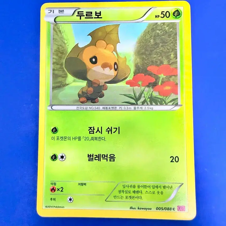 [BUNJANG] Pokemon Card 2014 Ancient Card XY Durbo / 포켓몬카드 2014년 고대카드 XY 두르보 카드