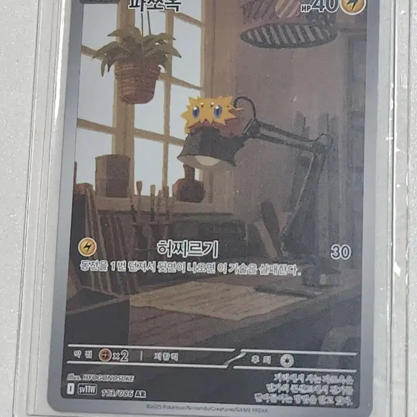 [BUNJANG] Pokemon Card Pazoo AR / 포켓몬카드 파쪼옥 AR