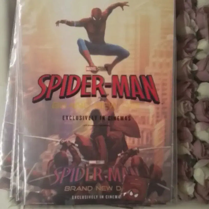 [BUNJANG] Spider-Man Key Visual 3-Type Set Pin Badge (Sealed) / (핀뱃지 선물)스파이더맨 키비주얼 3종 세트 미개봉