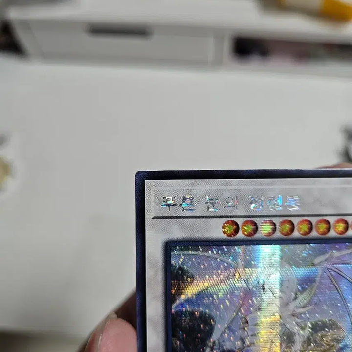 [BUNJANG] Yu-Gi-Oh! Blue-Eyes Spirit Dragon / 유희왕 푸른눈의 정령룡
