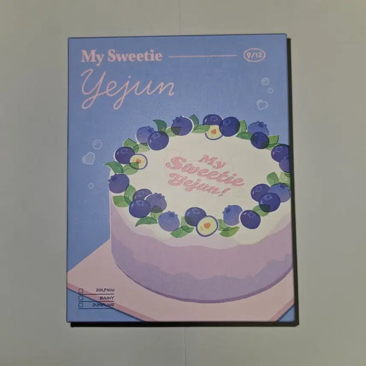 [BUNJANG] PLAVE Yeejun 2024 Birthday Kit / 플레이브 예준 2024 생일 키트