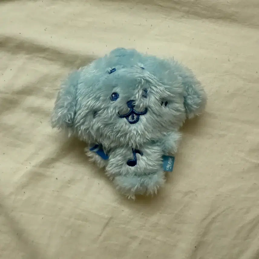 [BUNJANG] NCT WISH Color Wish Doll Jaehee Blue Bundle Set / 엔시티위시 위시 위시팝업 컬러위시돌 랜덤 재희 대영 댕트 댕트리버 파랑