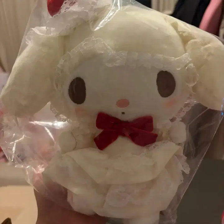 [BUNJANG] Sanrio My Melody Kitty Plush Bundle Set / 쇼트케이크 마멜 키티 누이 일괄