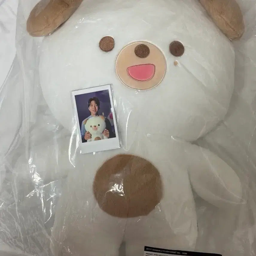 [BUNJANG] Day6 Jja-ppeum-meol Don Sealed Set / 데이식스 자쁘멀 돈 미개봉