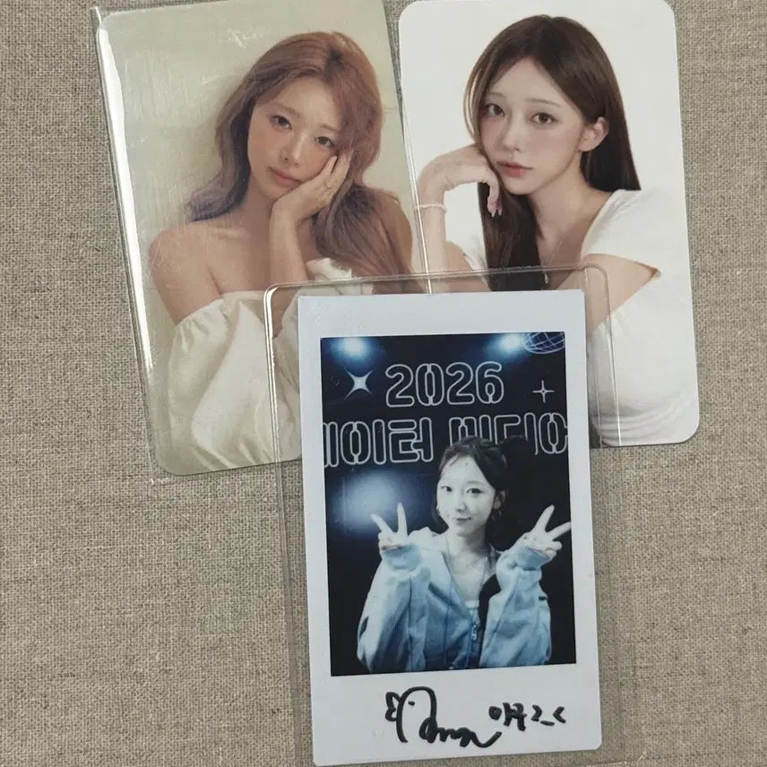 [BUNJANG] Manggu Signed Polaroids + Photocard / 망구 친필싸인 폴라 + 포카 260829 유튜버
