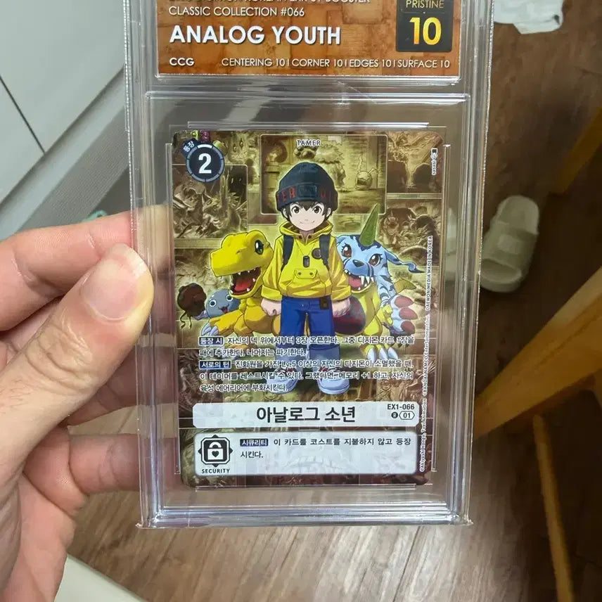 [BUNJANG] Digimon Card Analog Youth EXK-01 Pristine 10 Graded CCG / 디지몬카드 2023 아날로그 유스 EXK-01 등급카드 ccg