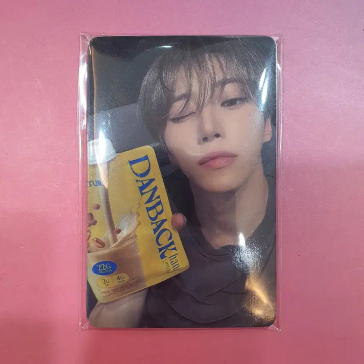 [BUNJANG] Ald1 Proteini Photocard Set (7 types, Sealed) / ald1 알디원 단백하니 포카 7종 미개봉 새상품