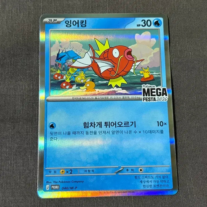 [BUNJANG] Magikarp Promo Card Unsealed / 포켓몬 카드 잉어킹 프로모 카드 개봉