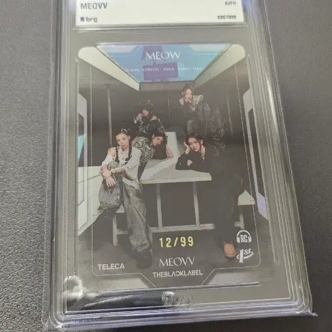 [BUNJANG] Terca Miyao Group 4 Types Team Set Grade Cards / 테레카 미야오 단체 4종 팀 세트 등급카드 등카 팝니다.