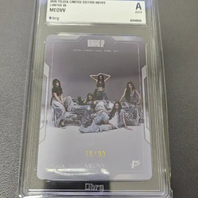 [BUNJANG] Terca Miyao Group 4 Types Team Set Grade Cards / 테레카 미야오 단체 4종 팀 세트 등급카드 등카 팝니다.