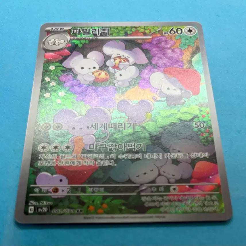 [BUNJANG] Pokemon Card Familyz AR / 포켓몬카드 파밀리쥐 AR