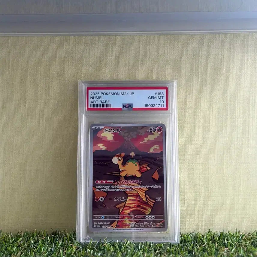 [BUNJANG] Pokemon Card PSA 10 / Psa10 포켓몬카드