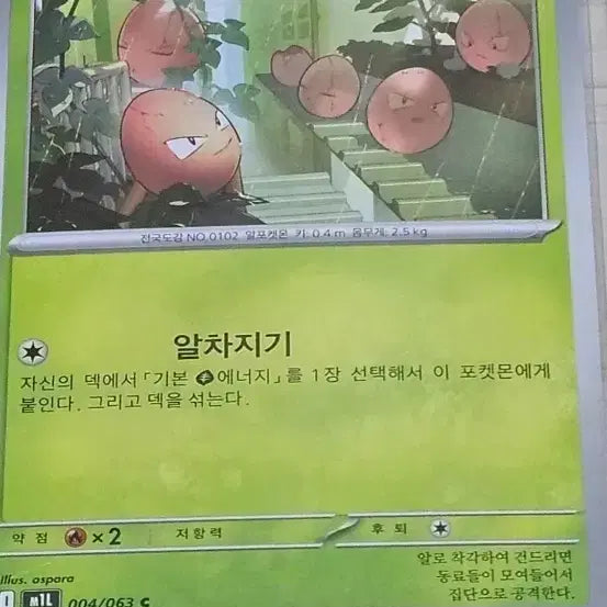 [BUNJANG] Pokemon Card Ararine, Nasi Bundle Set / [특가] 포켓몬카드 아라리, 나시 [10%할인]