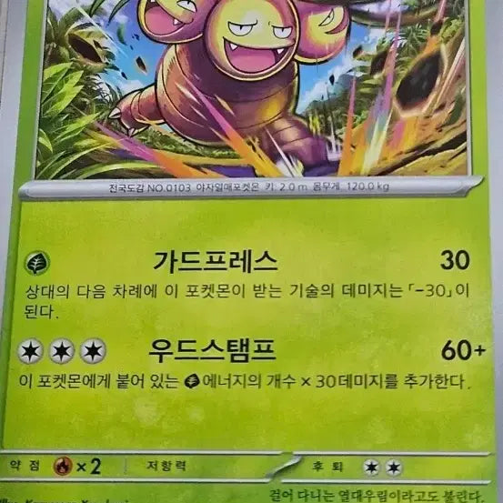[BUNJANG] Pokemon Card Ararine, Nasi Bundle Set / [특가] 포켓몬카드 아라리, 나시 [10%할인]