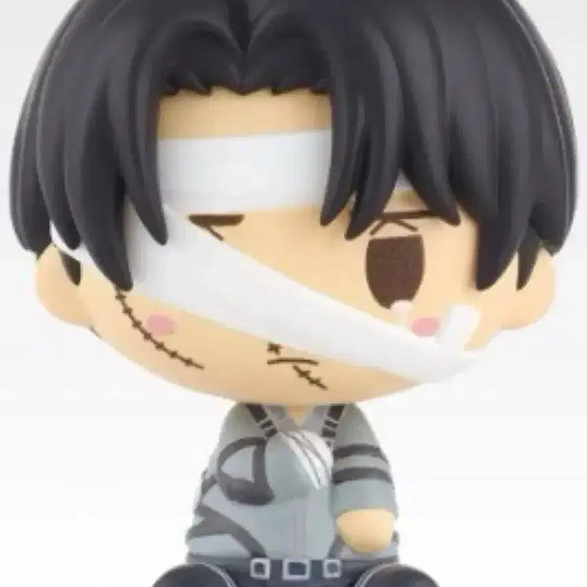 [BUNJANG] Attack on Titan Levi &