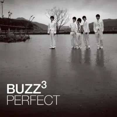 [BUNJANG] Buzz 3rd Album - Perfect LP / 버즈 (Buzz) 3집 - Perfect (LP)