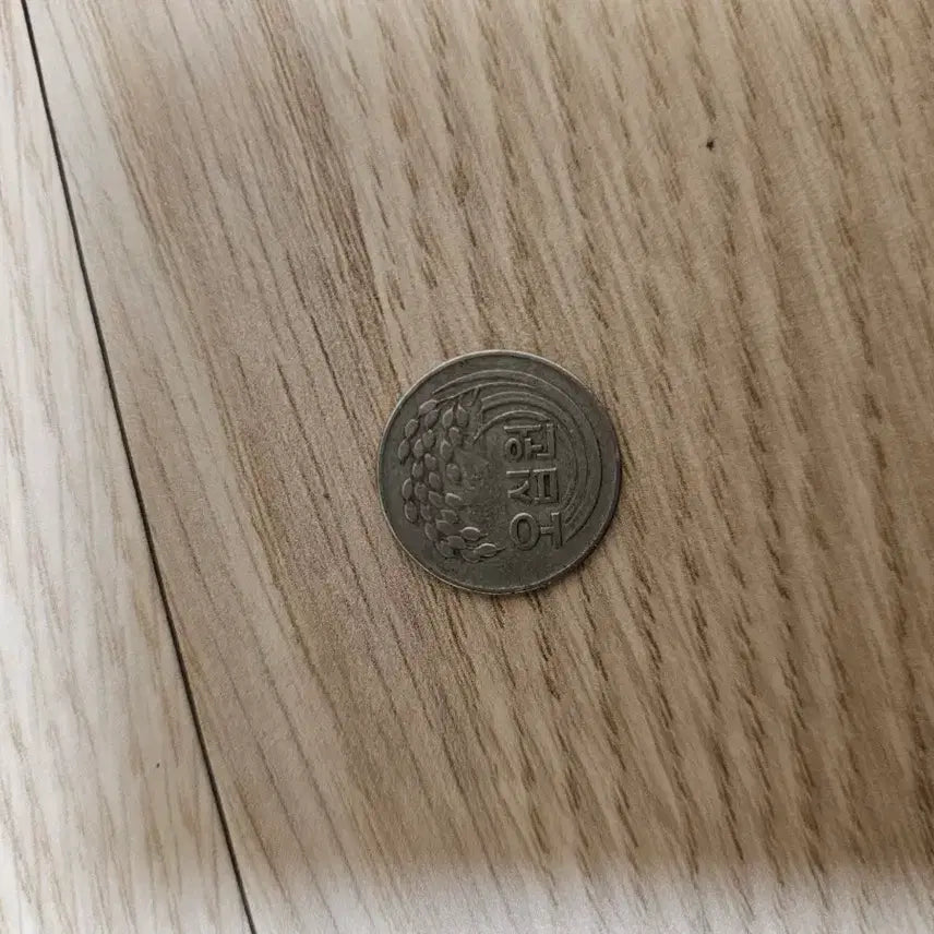 [BUNJANG] 1973 50 Won Coin / 50원 동전